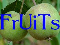 Fruits Photographs ICON